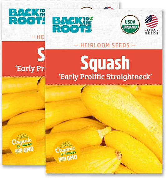Back to The Roots 100% Organic Heirloom Seeds - Yellow Straightneck Squash Value Pack (5.6g Total)