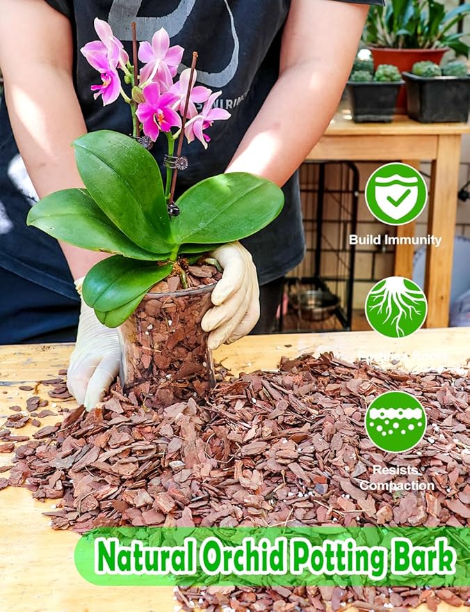 TOYPOPOR Orchid Potting Mix, (3 Quarts)Orchid Bark With Perlite, Potting Soil Medium for Plant Indoor, Pine Bark Wood Chips for Houseplant Fast Drainage, Water Retention, Air Flow and Root Ventilation