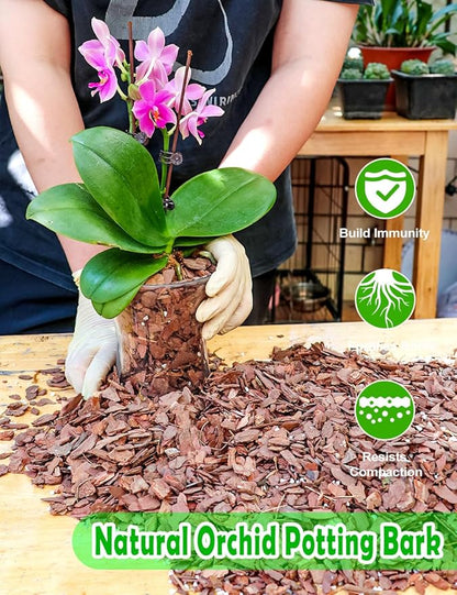 TOYPOPOR Orchid Potting Mix, (3 Quarts)Orchid Bark With Perlite, Potting Soil Medium for Plant Indoor, Pine Bark Wood Chips for Houseplant Fast Drainage, Water Retention, Air Flow and Root Ventilation