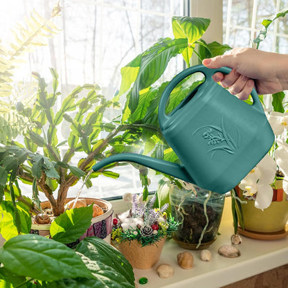 Plastic Watering Can - for Indoor and Outdoor Plant - 1/2 Gallon - Green