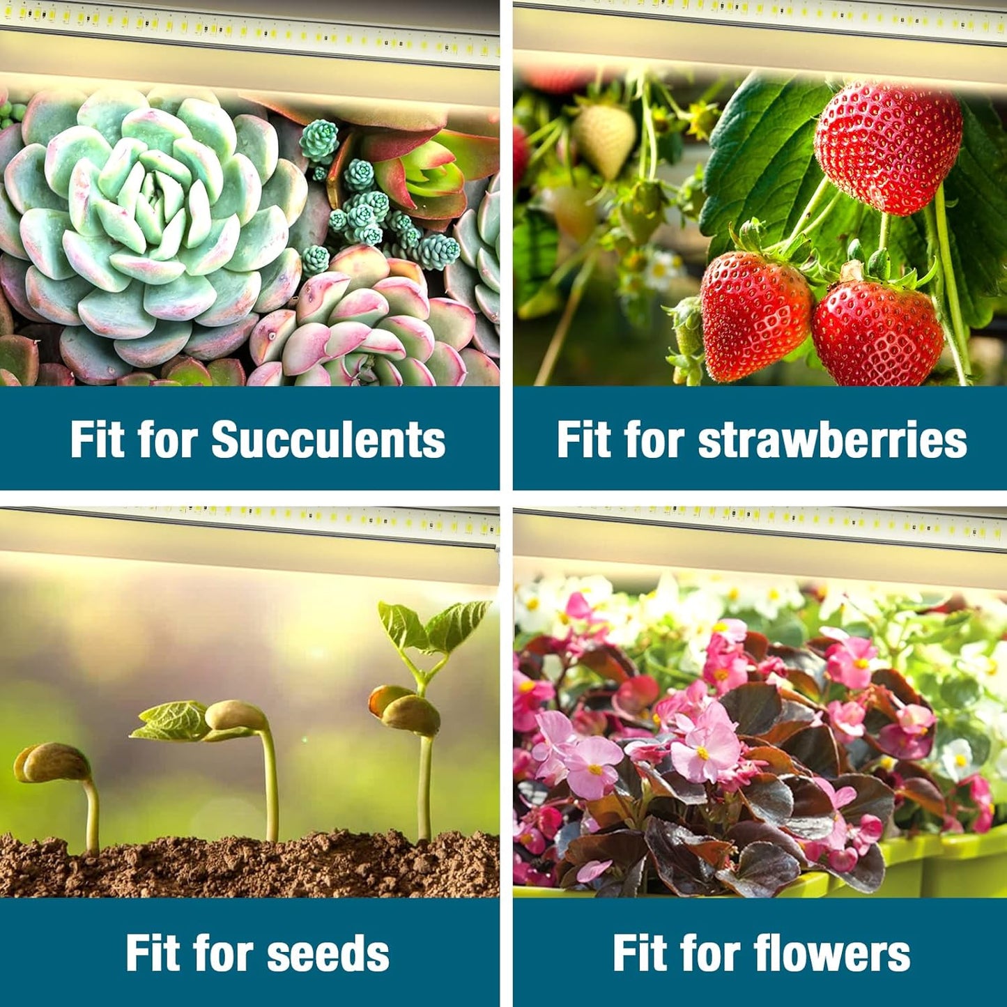 Full Spectrum Sunlight Growing Lamp Plants Grow Light Strips 4 Pack for Indoor Plants with Auto Timer 3/6/12H LED Grow Lights for Indoor Greenhouse Seedling, 16 Inches