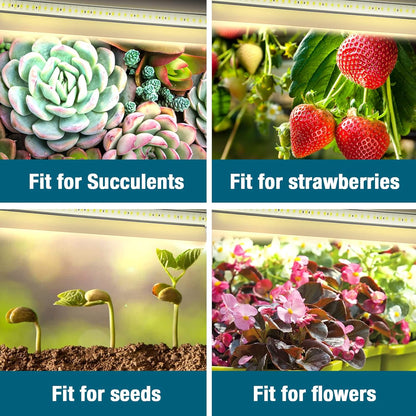 Full Spectrum Sunlight Growing Lamp Plants Grow Light Strips 4 Pack for Indoor Plants with Auto Timer 3/6/12H LED Grow Lights for Indoor Greenhouse Seedling, 16 Inches