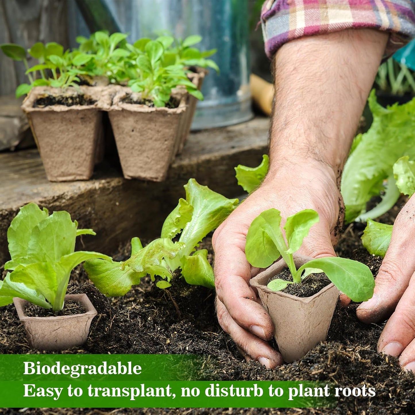 10 Packs Seedling Starter Trays 120 Cells, Biodegradable Seed Germination Trays Plant Starter Peat Pots for Seedlings