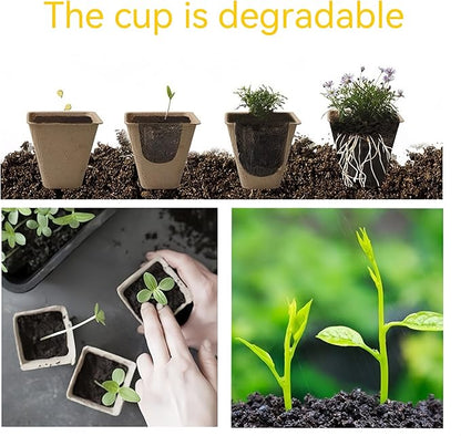 240 Cells Peat Pots Seed Starter Tray 24 Packs Biodegradable Seedling Pots Germination Trays Peat Pot for Seedling Organic Seed Starting Trays kit with 24 Labels 2 Transplant Tools