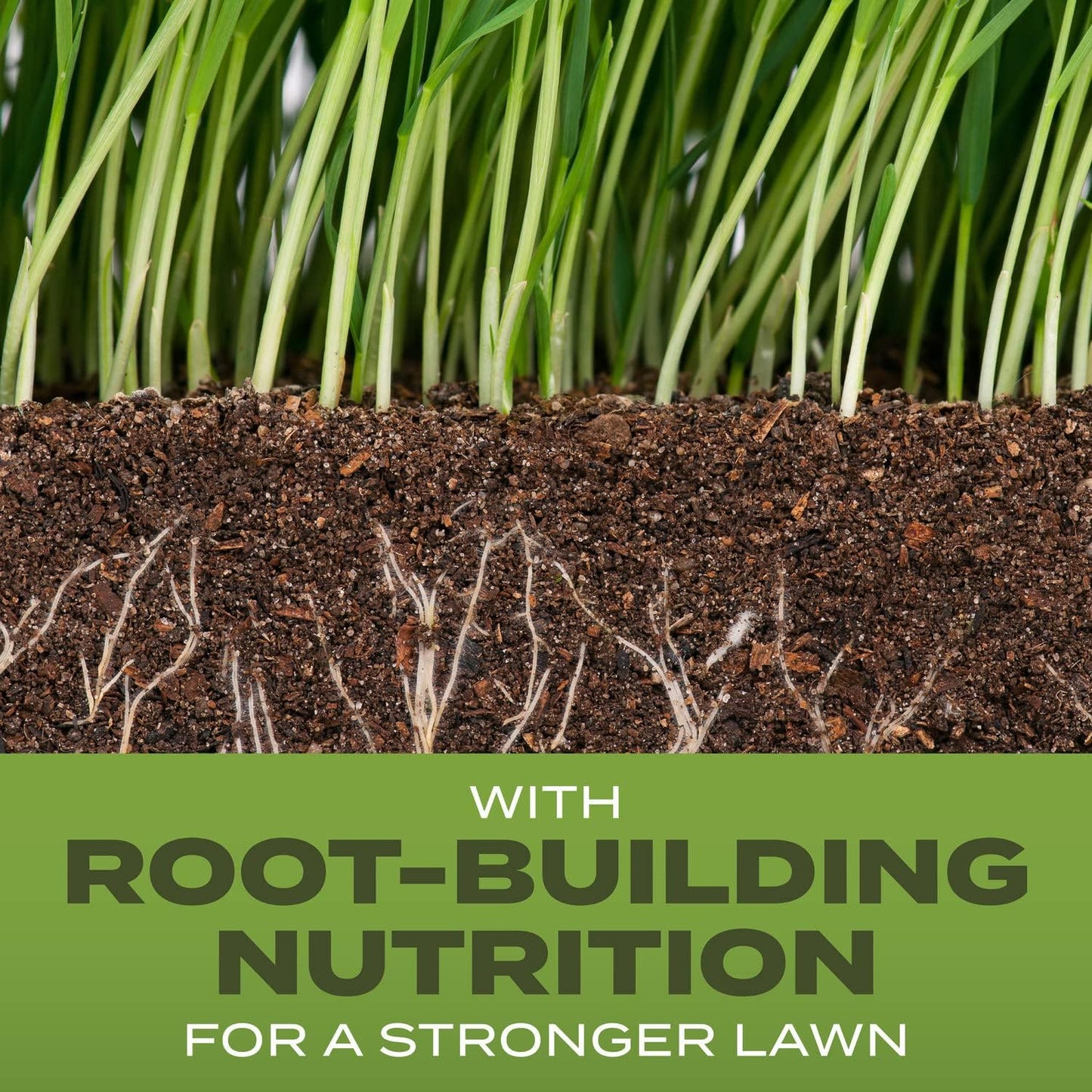 Scotts Turf Builder Grass Seed Tall Fescue Mix with Fertilizer and Soil Improver, Resists Harsh Conditions, 5.6 lbs.