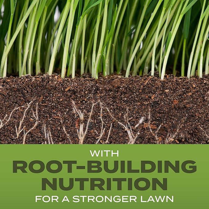 Scotts Turf Builder Grass Seed Tall Fescue Mix Durable to Resist Harsh Conditions with Root-Building Nutrition, 2.4 lb.