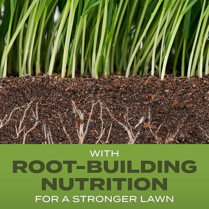 Scotts Turf Builder Grass Seed Tall Fescue Mix with Fertilizer and Soil Improver, Resists Harsh Conditions, 16 lbs.