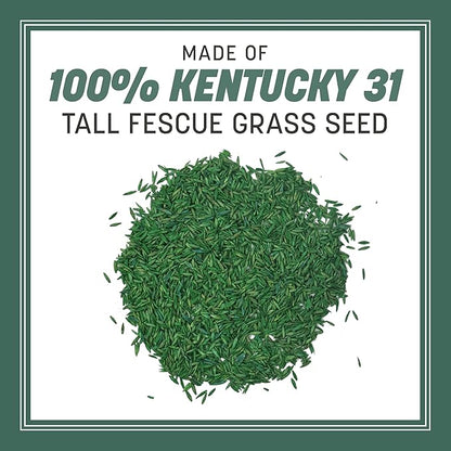 Pennington Kentucky 31 Tall Fescue Penkoted Grass Seed 40 lbs