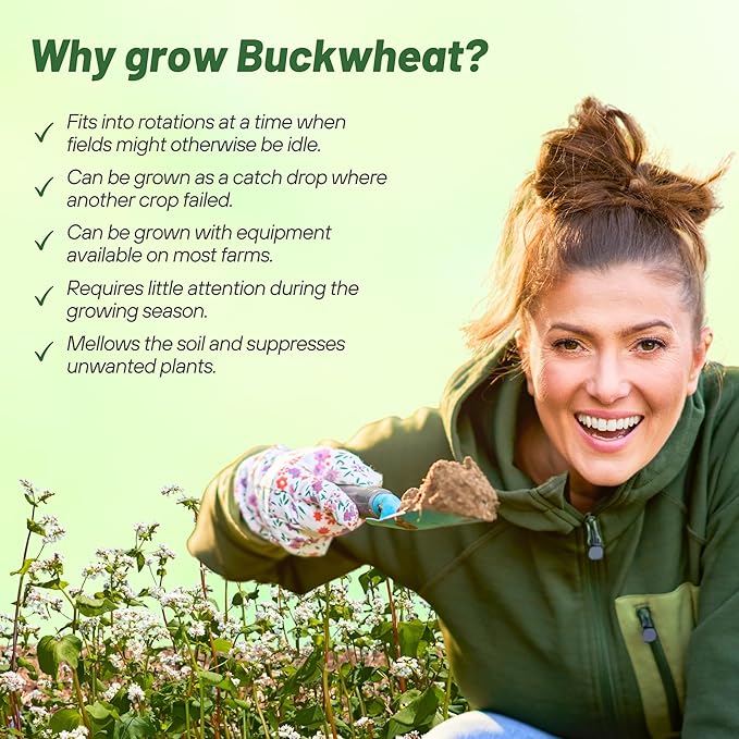 Outsidepride Buckwheat Seeds - 5lbs Annual, Fast-Growing, Easy to Grow Buckwheat Cover Crop Seeds for Green Manure, Bee Pasture & Pollinators, Wildlife Habitat, Soil Improvement, and Erosion Control