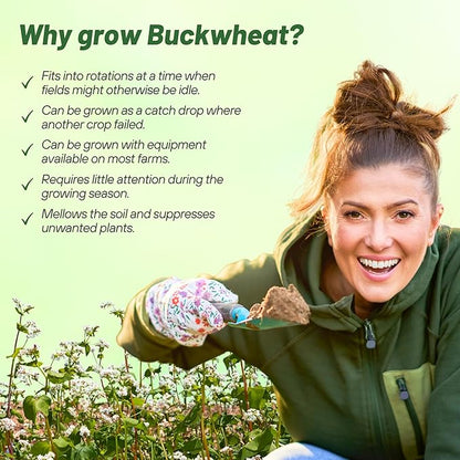 Outsidepride Buckwheat Seeds - 5lbs Annual, Fast-Growing, Easy to Grow Buckwheat Cover Crop Seeds for Green Manure, Bee Pasture & Pollinators, Wildlife Habitat, Soil Improvement, and Erosion Control