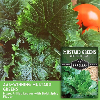 Southern Giant Mustard Green Seeds for Planting – Heirloom Non-GMO Spicy Greens, Heat Tolerant and Slow to Bolt for Home Vegetable Gardens - Survival Garden Seeds (1 Pack)