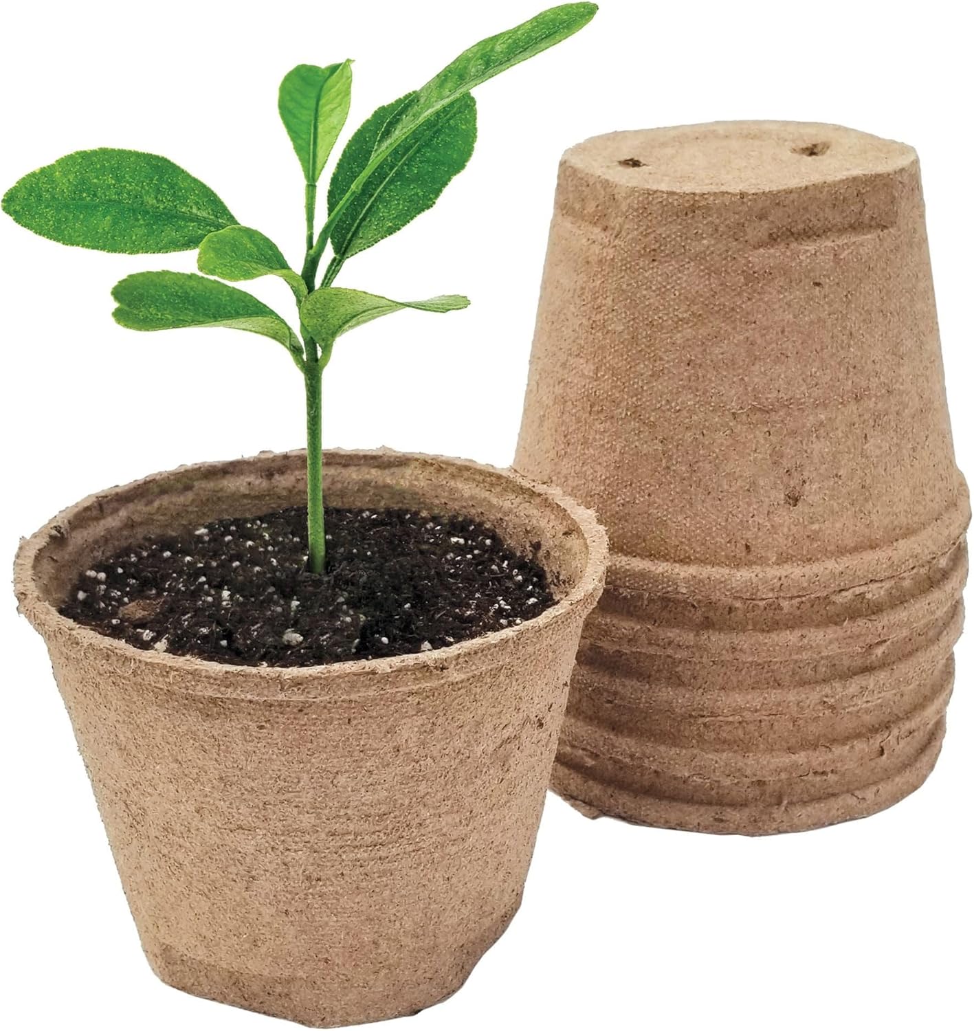 Jiffy Organic Seed Starting 5" Biodegradable Peat Pots (100 Pots)