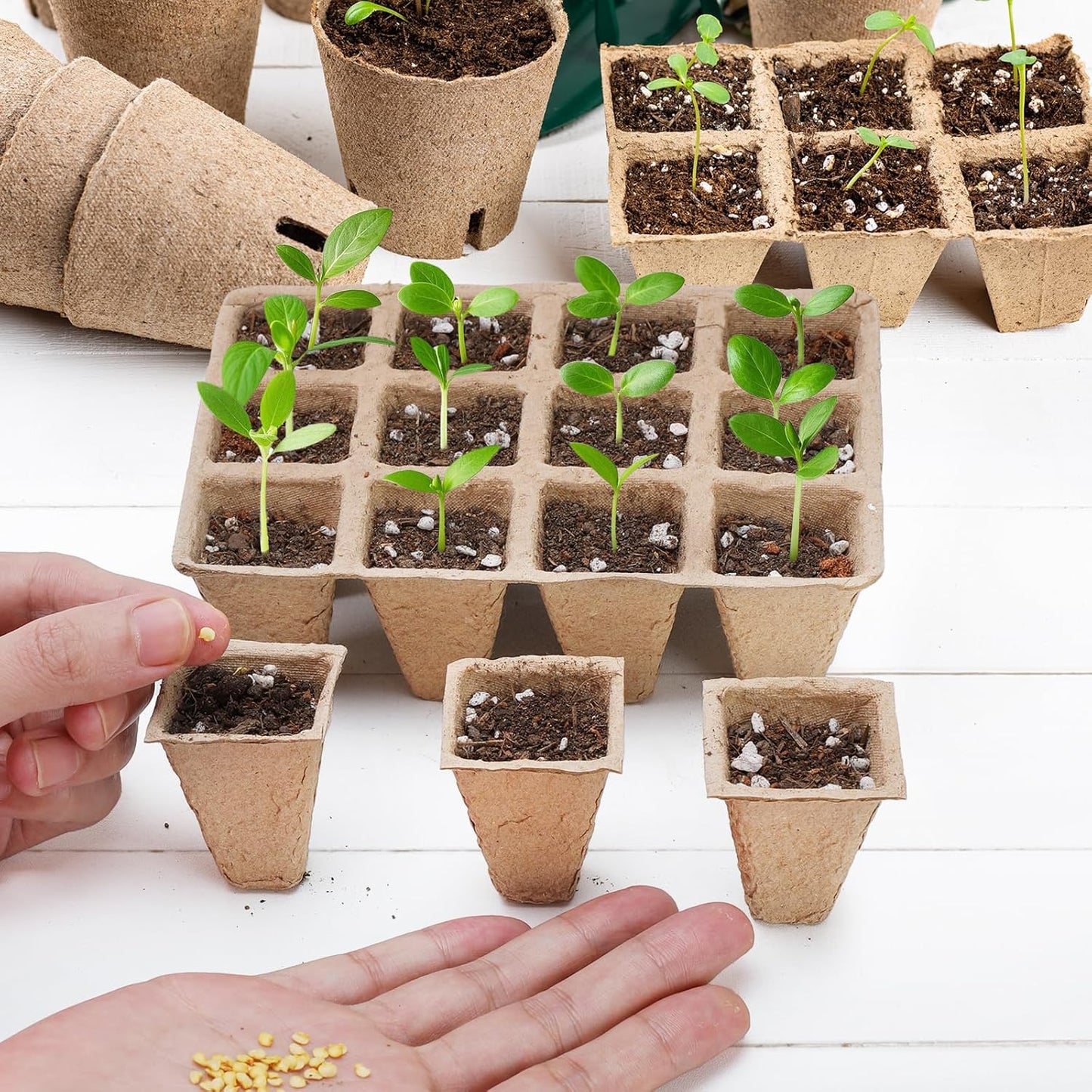10 Packs Seedling Starter Trays 120 Cells, Biodegradable Seed Germination Trays Plant Starter Peat Pots for Seedlings