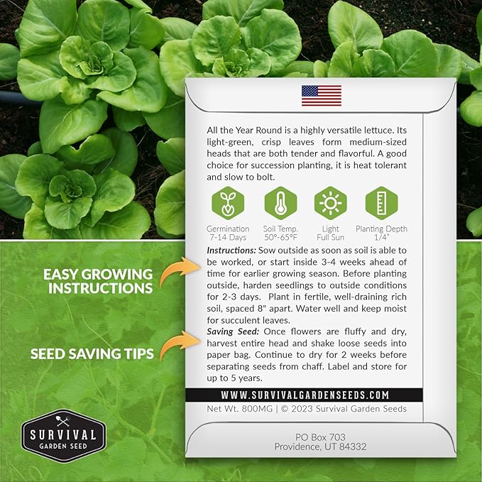 All The Year Round Lettuce Seed for Planting - 5 Packets with Instructions to Plant & Grow Adaptable Salad Greens in Your Home Vegetable Garden - Non-GMO Heirloom Variety - Survival Garden Seeds