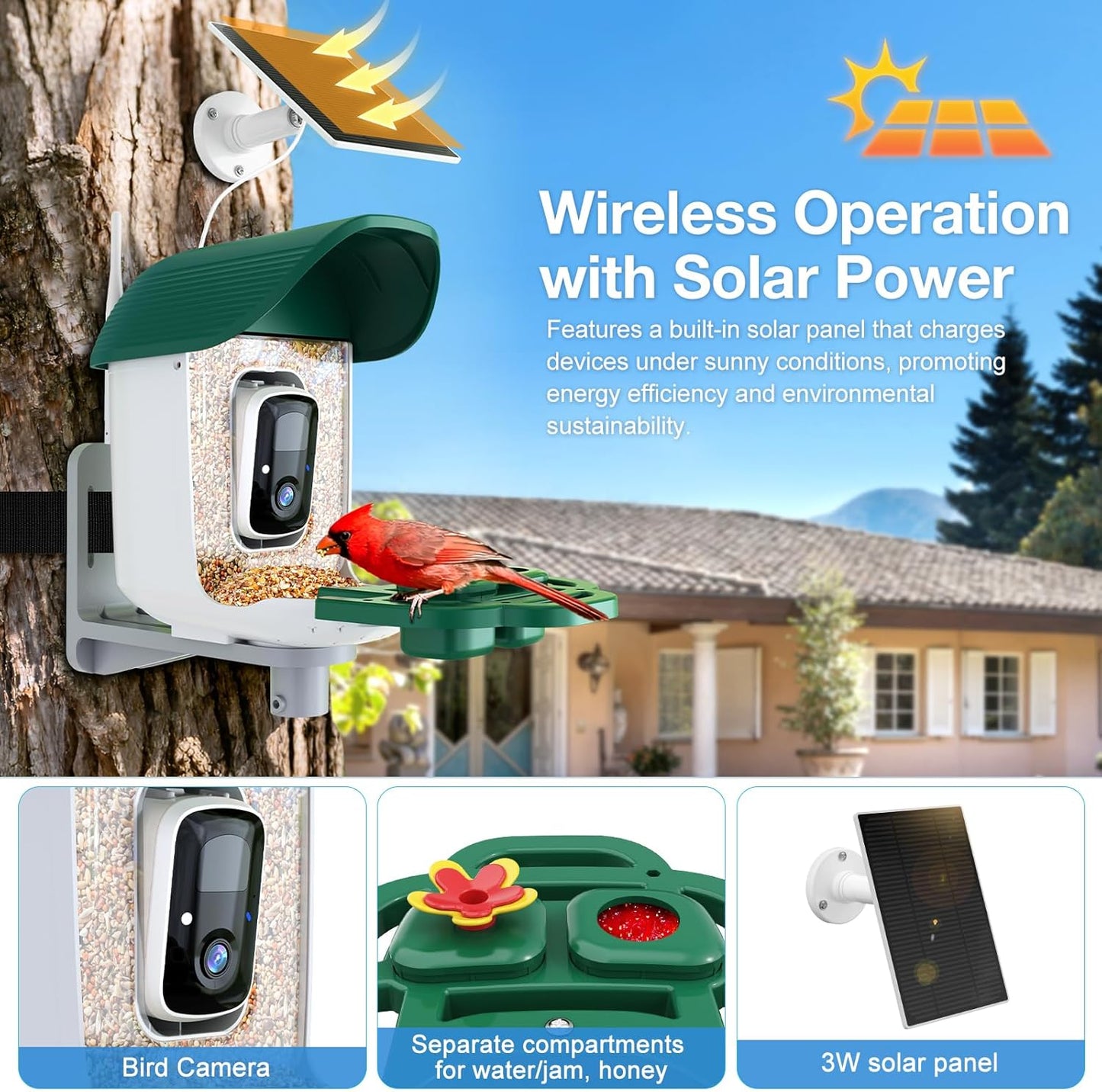 Smart Bird Feeder with 3MP HD Camera & AI Identify, Hummingbird Feeder with Solar Panel, Supports Two-Way Audio, Instant Arrival Alerts, Birdhouses for Outdoors, Gifts for Bird Lovers, Green