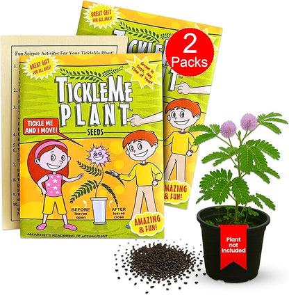 TickleMe Plant Seeds for Indoor Planting (2-Pack) – Interactive Party Favor | Leaves Close When Touched, Reopen in Minutes – Easy Indoor House Plant Seeds, Can Flower, Includes 10 Fun Activities