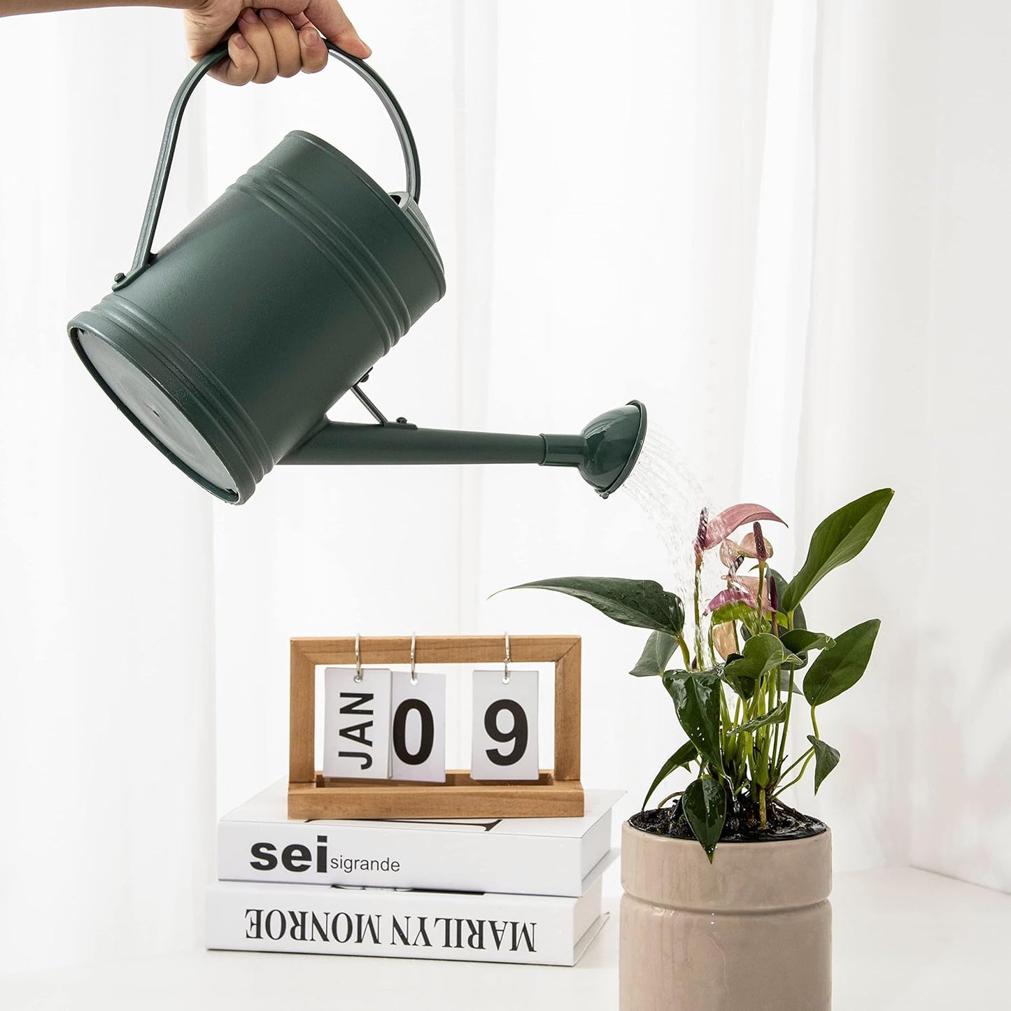 Plastic Indoor Watering Can with Sprinkler Head - 68 oz, 1/2 Gallon