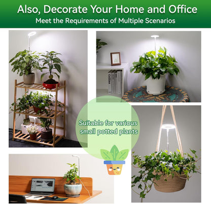 Grow Light for Indoor Plants, Full Spectrum 48LEDs Small Grow Light, Plant Light Super Bright with 4/8/12/18H Auto Timer, Dimmable, Adjustable Height 7"-17", Halo Φ3.5", Power Cord 78", Plug Included