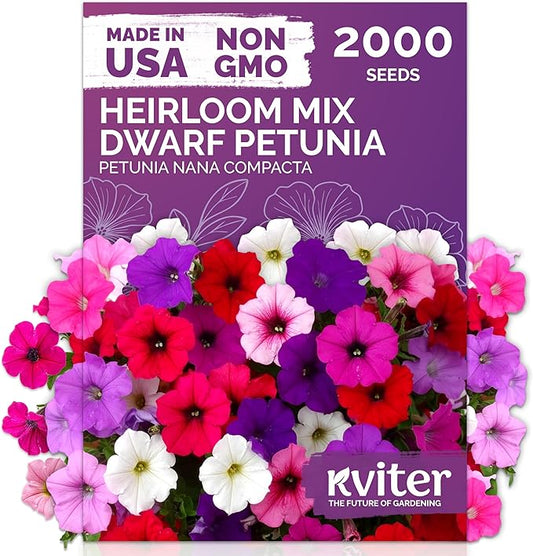 KVITER 2,000 Mix Dwarf Petunia Seeds for Planting Flowers (Nana Compacta) — Mini Petunia Flower Seeds, Annual, Organic & Non GMO — Beds, Hanging Baskets, Containers, Outdoor & Indoor Garden