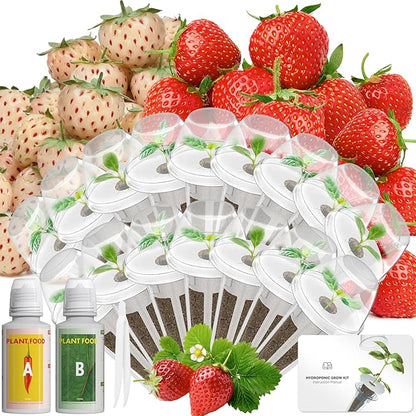 LYKOCLEAN Hydroponic Seed Pod Kit Compatible with AeroGarden, Ahopegarden, iDoo, MUFGA, 16 Pods Complete Growing Anything Garden Supply with Strawberry Seeds, Grow Sponges, Baskets, Domes, Labels