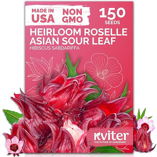 KVITER 150 Roselle Seeds for Planting (Hibiscus Sabdariffa) – Jamaican Sorrel/Cranberry Hibisco Seeds/Gongura Seed/Sour Leaf Seed – Perfect for Hibiscus Tea Organic, Outdoor & Indoor Garden