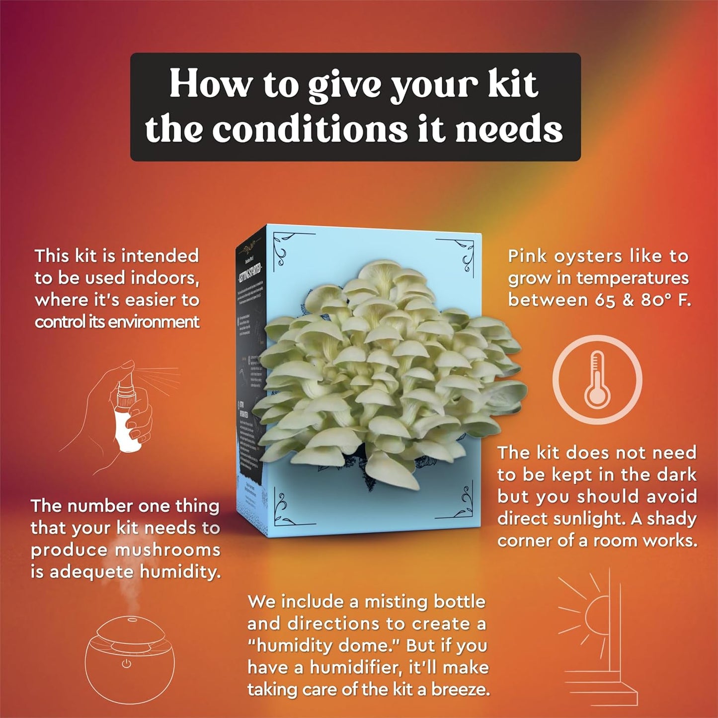 Oyster Mushroom Grow Kit | USDA Certified Organic | Grow Your Own Delicious Gourmet Mushrooms at Home