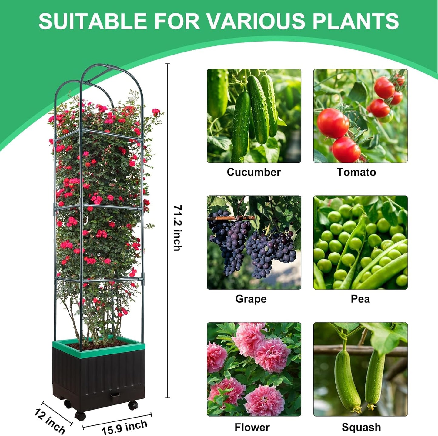 Raised Garden Bed with Self Watering Garden Pots, Planter Box with Trellis for Climbing Plants Vegetable Vine Flowers, Tomato Cage Planter for Indoor Outdoor Yard Greenhouse Use
