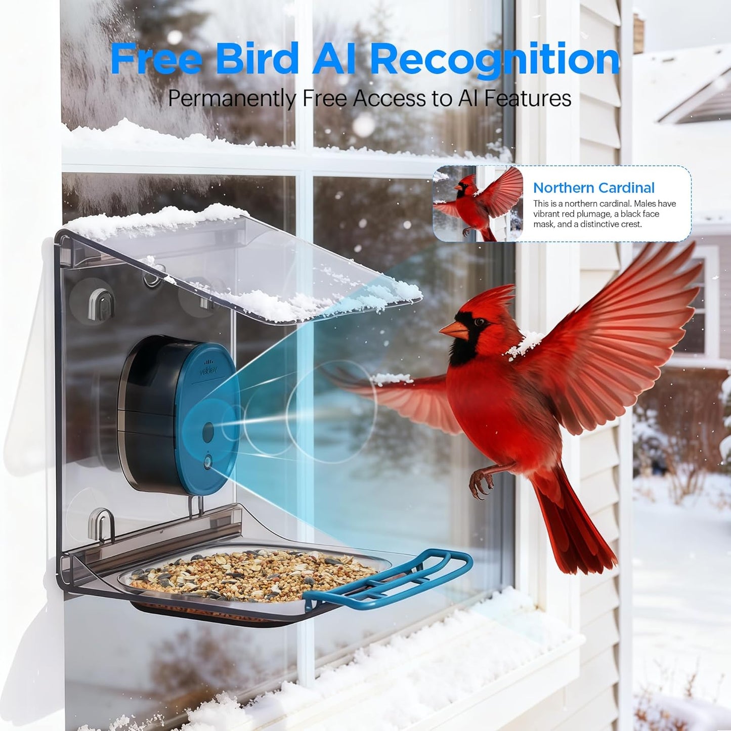 Smart Bird Feeder with Camera Solar Powered,2K HD Video Live Stream,AI Identify Birds Species,Link via Signal Transmitter,5MP Photos,Instant Arrival Alerts,Motion Detect,Elderly-Friendly,Blue