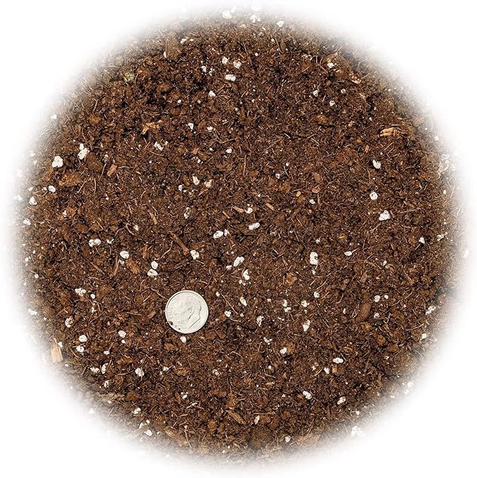 GARDENERA Premium Dracaena Potting Soil Mix - (2 Quart Bag)