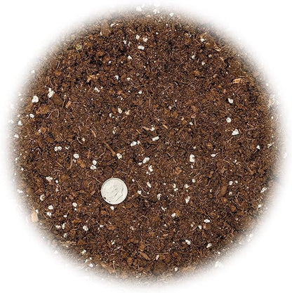 GARDENERA Premium Dracaena Potting Soil Mix - (3 Quart Bag)