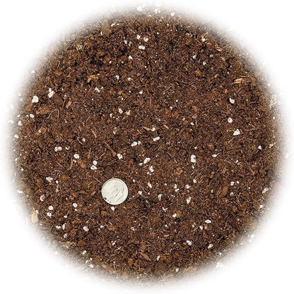 GARDENERA Citrus Tree Potting Soil Mix, Special Blend for Indoor Oranges, Lemons, Limes and More - (2 Quart Bag)