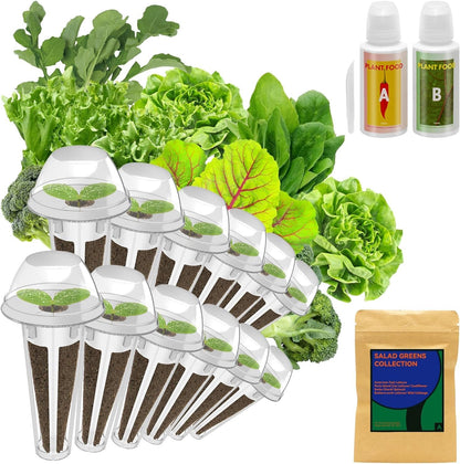 inbloom Salad Green Seed Pod Kit for Hydroponics Growing System, 12 Pods (350+ Seeds with American Fast/Paris Island/Buttercrunch Lettuce, Swiss Chard, Spinach, Cauliflower, and Wild Cabbage)