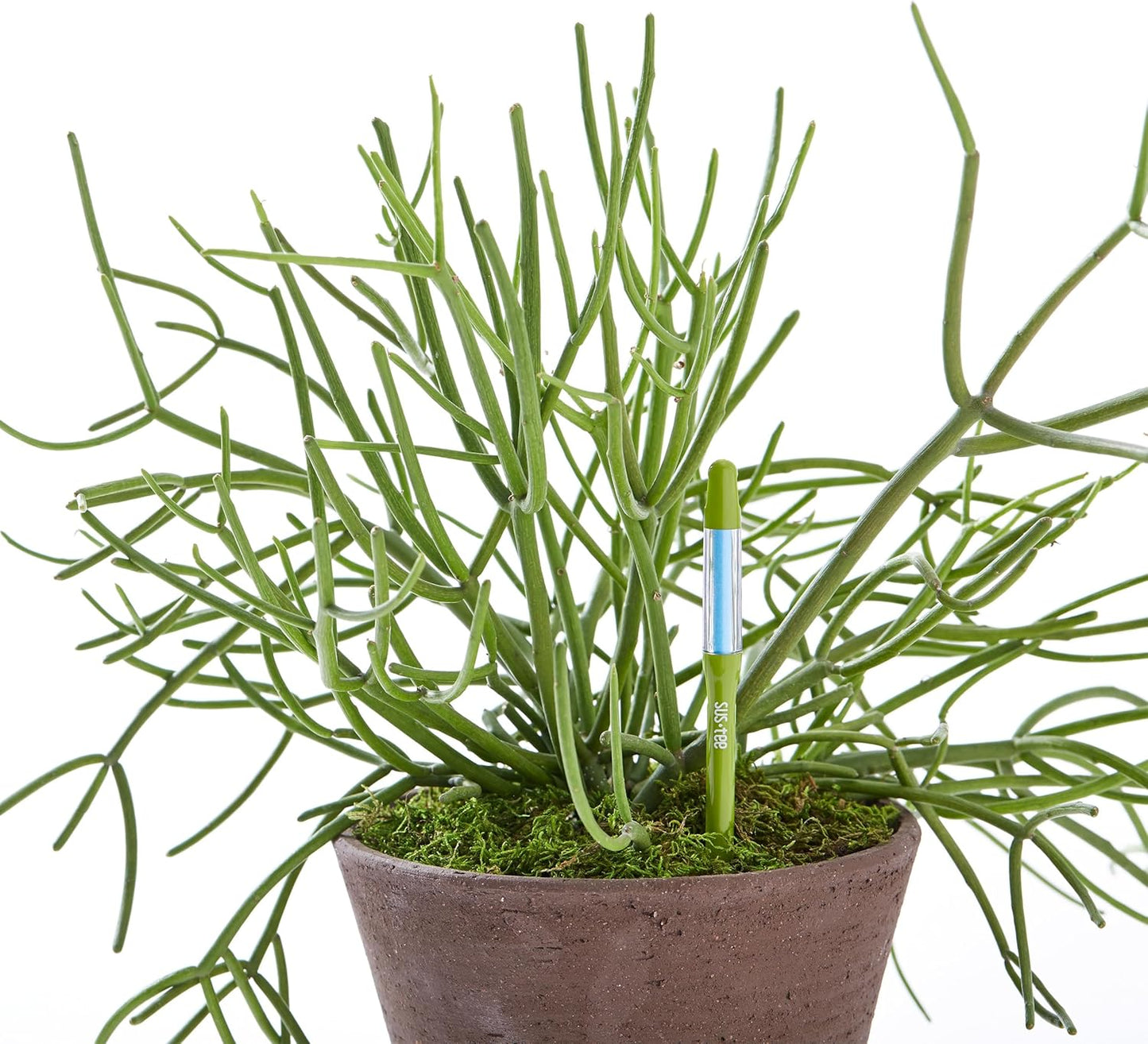 IPPINKA Sustee Aquameter, Bundle of 36, House Plant Soil Moisture Meter, Best for Indoor Potted Plants - Large Green Refillable