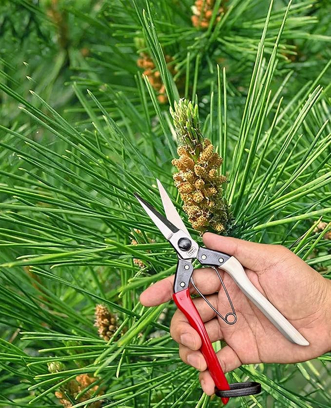 Double-Edge Garden Shears Micro-Tip Pruning Shears Extra Heavy Straight Garden Scissors Effortless Cuts Pruning Shears for Gardening Clippers for Plant Herb Flower Harvesting Fruits vegetables