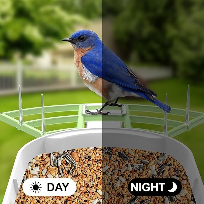 Bird Feeder with Camera, AI Identify Birds Species, FHD 2K Video Quality Bird Watching, Wireless Outdoor Weatherproof Birds House, Solar-Powered, for Garden, Yard,Patio, Green