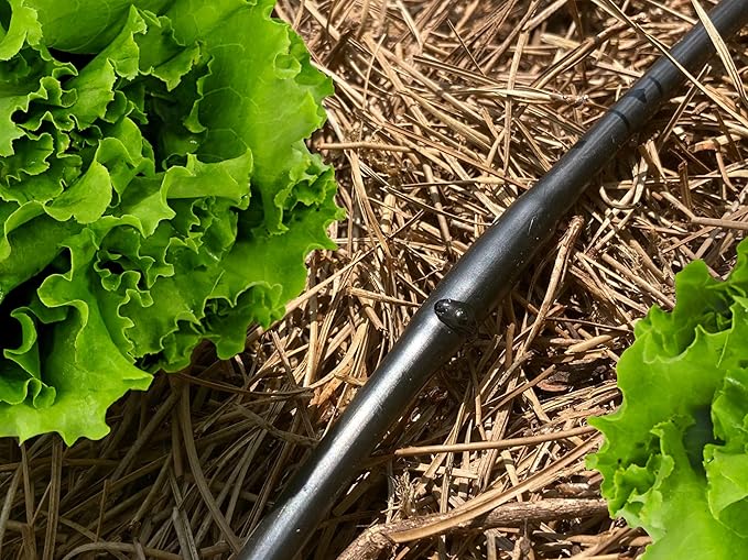 1/4" Irrigation Dripline Tubing (100 Ft Roll) - 6" Emitter Spacing - 1/4" Drip Irrigation Fittings Included
