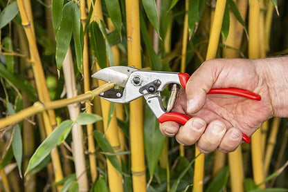 Felco F31 Pruning Shears – 8.3" Garden Clippers with Anvil Blade for Dry & Hard Wood | Hand Pruner for Gardening | Garden Tool Cutter with Aluminum Handle, Alloy Steel Blade, High-Torque Cutting Power