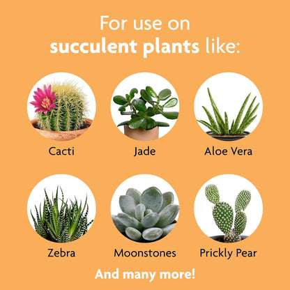 Miracle-Gro Succulent Plant Food, Liquid Plant Food for Indoor Succulents, Cacti, Jade Plants, Aloe Vera and More, 8 oz., 3-Pack