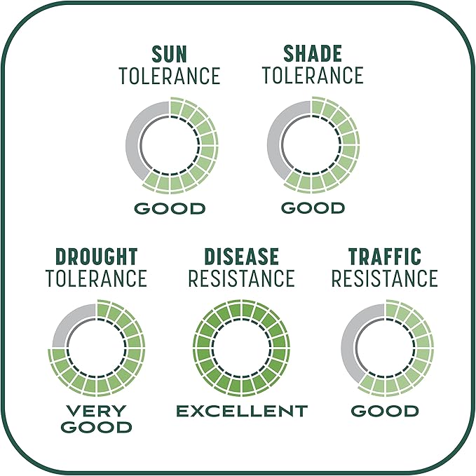 Penn Smart Patch S&S N