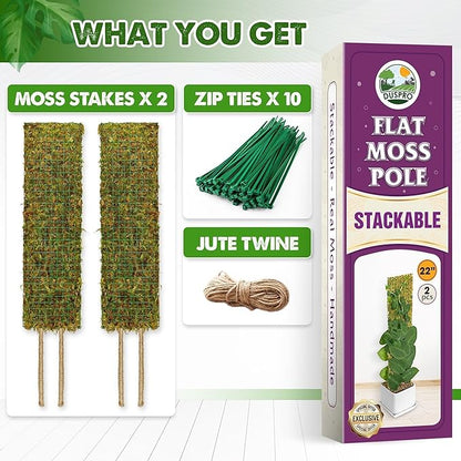 DUSPRO Flat Mesh Moss Poles for Climbing Plants Monstera Stackable Moss Pole for Plants with Real Moss Moss Plant Pole for Potted Plants Handmade Moss Stick for Indoor Plants Grow Upward 2 Pack 22”