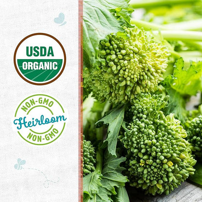 Back to The Roots 100% Organic Heirloom Seeds - Broccoli Raab Value Pack (400mg Total)