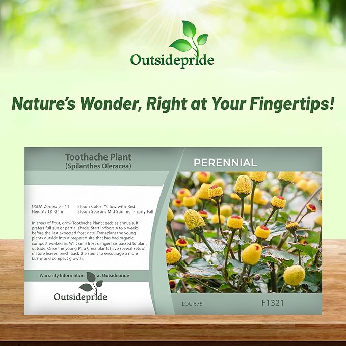 Outsidepride Toothache Plant Seeds - 10000 Pcs. Perennial, Easy to Grow & Pollinator Friendly, Herb Seeds for Planting Ornamental, Pompom-Shaped Yellow Blooms for Culinary Creations & Herb Gardens