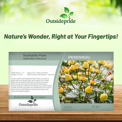 Outsidepride Toothache Plant Seeds - 10000 Pcs. Perennial, Easy to Grow & Pollinator Friendly, Herb Seeds for Planting Ornamental, Pompom-Shaped Yellow Blooms for Culinary Creations & Herb Gardens