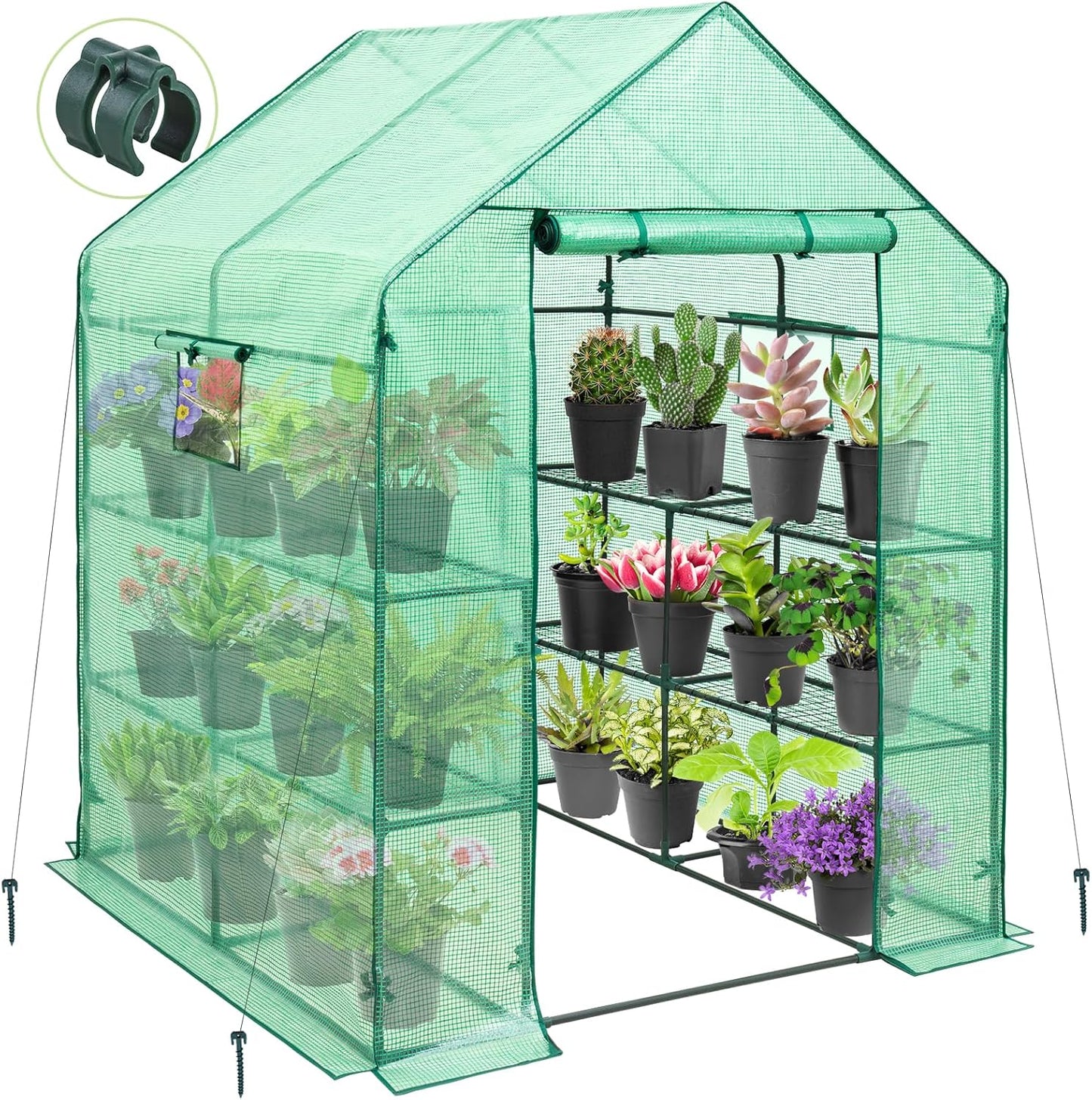 EAGLE PEAK Walk in 3-Tier Greenhouse with Wire Shelves, Portable Indoor and Outdoor Green House with Roll-Up Zippered Door & 2 Roll Up Windows, 8 Shelves, 56"x56"x77", Clear/Green PE Cover