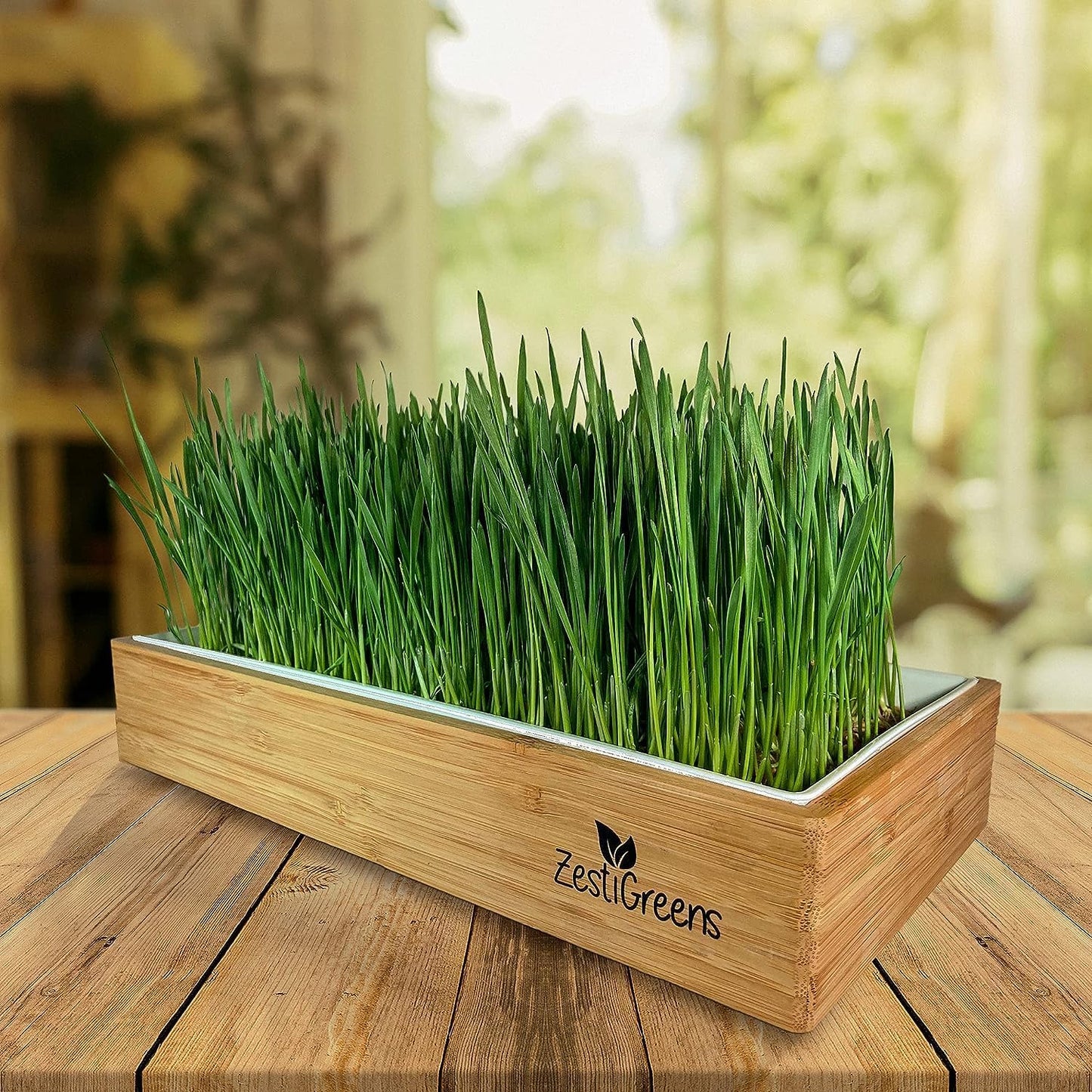 Organic Wheatgrass Growing Kit, Self Watering, with Soilless Grow Mats. The Easy Way to Grow & Juice Healthy Wheat Grass & Make Cat Grass. Bamboo Surround & Black Out Lid. (Organic Wheatgrass Kit)