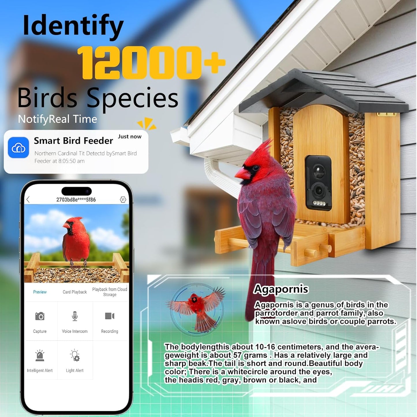 Smart Bird Feeder with Camera 2.5K HD Full Color Night Vision Outdoor Camera, Solar Panels AI recognizes 12,000 Bird Species, Bamboo Birdhouse, A Great Gift for mom and Nature Lovers