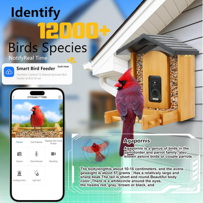 Smart Bird Feeder with Camera 2.5K HD Full Color Night Vision Outdoor Camera, Solar Panels AI recognizes 12,000 Bird Species, Bamboo Birdhouse, A Great Gift for mom and Nature Lovers