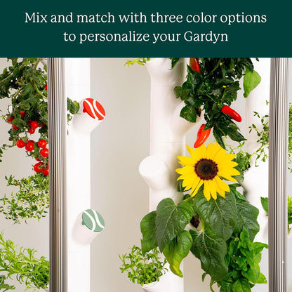 Gardyn Caps for Your Gardyn Hydroponics Growing System & Indoor Garden - Perfect Solution for a Cleaner & More Beautiful Garden - Must-Have for Growing Fewer Than 30 Plants - 5 Pack Cauliflower, White