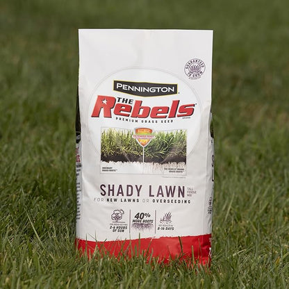Pennington The Rebels Tall Fescue Shady Grass Seed Mix 7 lb