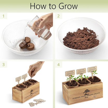 Avergo Bonsai Tree Kit – 3X Unique Japanese Bonzai Trees | Complete Indoor Starter Kit for Growing Bonsai Plants with Tools & Planters – Gardening Gifts for Women & Men